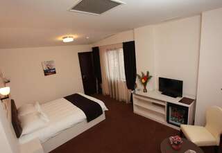 Отель West Plaza Hotel Бухарест Стандартный двухместный номер с 1 кроватью-5